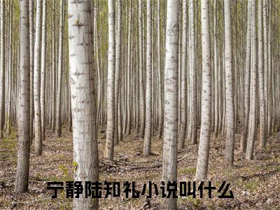 宁静陆知礼(宁静陆知礼)全文免费阅读无弹窗大结局_宁静陆知礼免费试读阅读全文无弹窗_