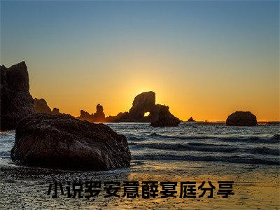 罗安意薛宴庭「精彩小说」无弹窗阅读 罗安意薛宴庭大结局阅读
