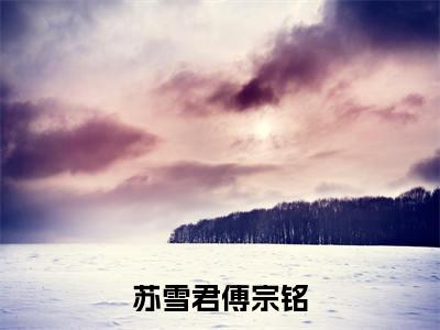全网热搜（苏雪君傅宗铭）是什么小说，苏雪君傅宗铭免费阅读无弹窗
