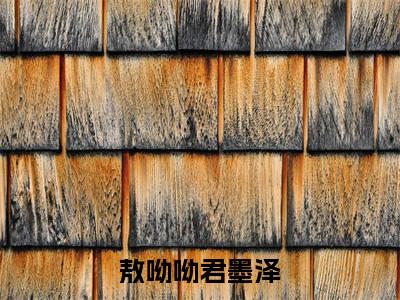敖呦呦君墨泽精选好书-敖呦呦君墨泽无删减小说在线阅读（敖呦呦君墨泽全文免费阅读）