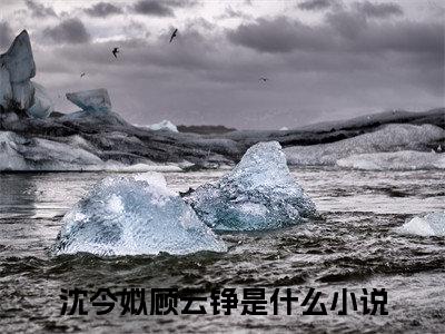 沈今姒顾云铮免费阅读-（沈今姒顾云铮）全文免费阅读无弹窗大结局（孩子都生了，还想去哪儿？）最新章节列表_笔趣阁