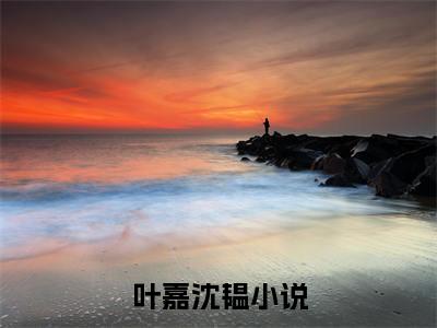 叶嘉沈韫（叶嘉沈韫）全文免费阅读无弹窗大结局_叶嘉沈韫全文免费阅读最新章节列表_笔趣阁