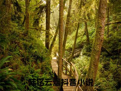 签到六年，他的仙帝马甲被爆了小说（陆铭云烟）全文在线阅读免费大结局_签到六年，他的仙帝马甲被爆了小说最新章节列表