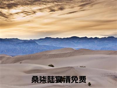 桑柒陆宴清完本小说全集阅读-（桑柒陆宴清）主角的小说是什么名字