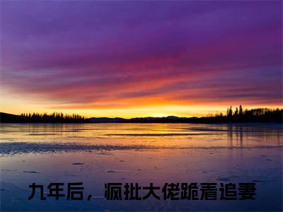 傅北萱厉霆骁小说全文免费阅读无弹窗-九年后，疯批大佬跪着追妻全文在线阅读