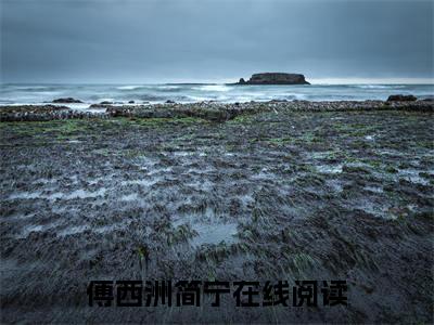 一别西洲（傅西洲简宁）全文免费阅读无弹窗大结局_傅西洲简宁全文阅读_笔趣阁（一别西洲）