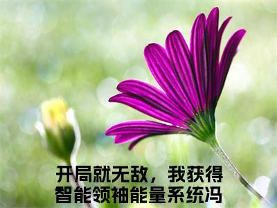 开局就无敌，我获得智能领袖能量系统冯奕程（开局就无敌，我获得智能领袖能量系统冯奕程）微小说-开局就无敌，我获得智能领袖能量系统冯奕程最新章节免费阅读