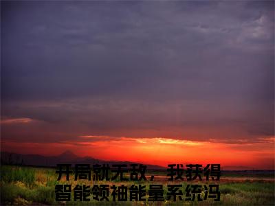 开局就无敌，我获得智能领袖能量系统冯奕程小说全文免费阅读(开局就无敌，我获得智能领袖能量系统冯奕程)全文免费阅读无弹窗大结局_ 开局就无敌，我获得智能领袖能量系统冯奕程最新章节列表_笔趣阁（开局就无敌，我获得智能领袖能量系统冯奕程小说）