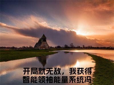 开局就无敌，我获得智能领袖能量系统冯奕程全网首发小说-开局就无敌，我获得智能领袖能量系统冯奕程无广告免费试读