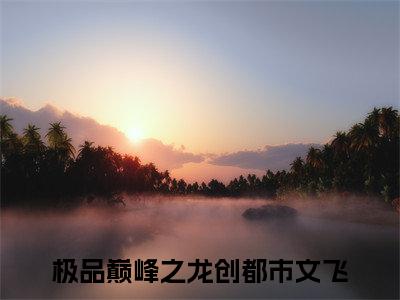 极品巅峰之龙创都市文飞（极品巅峰之龙创都市文飞）全文免费阅读无弹窗大结局-极品巅峰之龙创都市文飞最新章节列表免费阅读