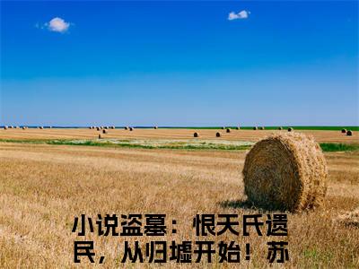 盗墓：恨天氏遗民，从归墟开始！苏晨（盗墓：恨天氏遗民，从归墟开始！苏晨）全文免费阅读无弹窗大结局-盗墓：恨天氏遗民，从归墟开始！苏晨最新章节列表-笔趣阁