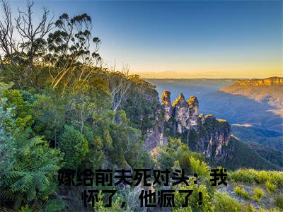 嫁给前夫死对头：我怀了，他疯了！（嫁给前夫死对头：我怀了，他疯了！无弹窗）全文免费阅读无弹窗大结局_嫁给前夫死对头：我怀了，他疯了！最新章节列表_笔趣阁（嫁给前夫死对头：我怀了，他疯了！无弹窗）
