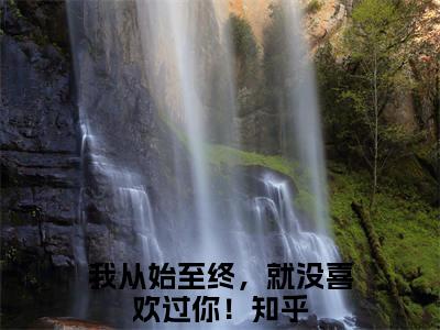 我从始至终，就没喜欢过你！（宋绾傅西彦）全文免费阅读无弹窗大结局-我从始至终，就没喜欢过你！免费阅读全文大结局-笔趣阁