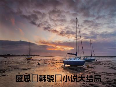 盛思玦韩骁璟是什么小说_主角是（盛思玦韩骁璟）的小说（盛思玦韩骁璟）最新章节无弹窗阅读