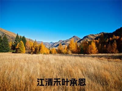 江清禾叶承恩全集小说完整版大结局_江清禾叶承恩完结版在线阅读