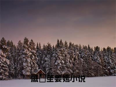 戚筎笙姜嫣全集免费阅读无弹窗_戚筎笙姜嫣完结小说榜单阅读（戚筎笙姜嫣小说）