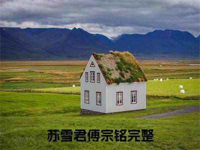 苏雪君傅宗铭(苏雪君傅宗铭)全文免费阅读无弹窗大结局_ 苏雪君傅宗铭免费阅读最新章节列表_笔趣阁