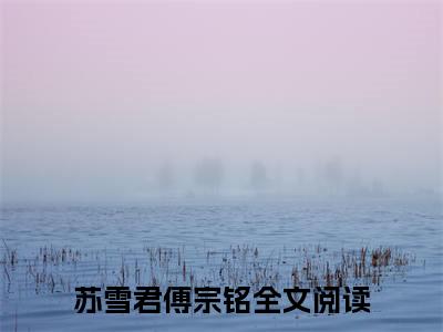 高赞小说（苏雪君傅宗铭）完结阅读_苏雪君傅宗铭全文完整版免费阅读最新章节列表