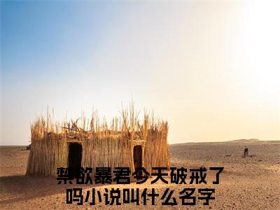 禁欲暴君今天破戒了吗在哪免费看禁欲暴君今天破戒了吗结局是什么（尤小怜谢政安）小说无弹窗免费阅读