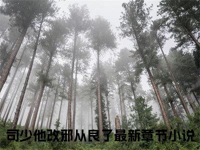 司少他改邪从良了（孟梒司牧）全文免费阅读无弹窗大结局_司少他改邪从良了孟梒司牧_笔趣阁