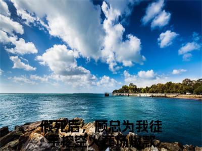 顾景修苏菽免费阅读无弹窗大结局-假死后，顾总为我徒手挖空火葬场（最新全章节大结局）全文阅读