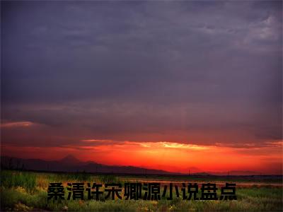 桑清许宋卿源(桑清许宋卿源)全文免费阅读无弹窗大结局_桑清许宋卿源免费阅读_笔趣阁（桑清许宋卿源）