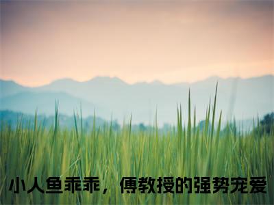 伽浅傅严琛（小人鱼乖乖，傅教授的强势宠爱）全文免费阅读无弹窗_（小人鱼乖乖，傅教授的强势宠爱）小说全文免费阅读最新章节_笔趣阁