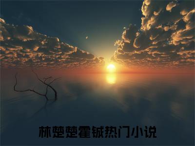 林楚楚霍铖热推新书小说全文（穿书七零，睁眼就是全村第一硬汉）全文免费阅读_林楚楚霍铖最新章节无弹窗阅读