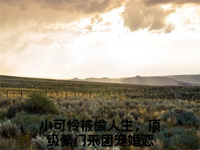黎小鸭盛玉霄（小可怜被偷人生，顶级豪门来团宠）全文在线阅读无弹窗大结局_（黎小鸭盛玉霄在线阅读）最新章节列表_笔趣阁