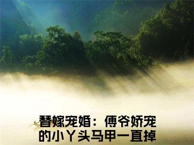 替嫁宠婚：傅爷娇宠的小丫头马甲一直掉（墨霆白浅）全文免费阅读大结局_墨霆白浅无弹窗最新章节列表