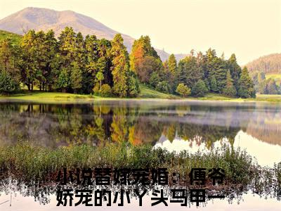 墨霆白浅小说最新章节阅读-小说墨霆白浅（替嫁宠婚：傅爷娇宠的小丫头马甲一直掉）已完结小说精彩大结局