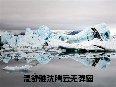 温舒雅沈腾云小说（终有归期）全文免费阅读无弹窗大结局_温舒雅沈腾云全文免费完结版阅读（终有归期）