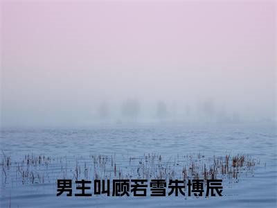顾若雪朱博辰全网首发小说，顾若雪朱博辰全文免费阅读