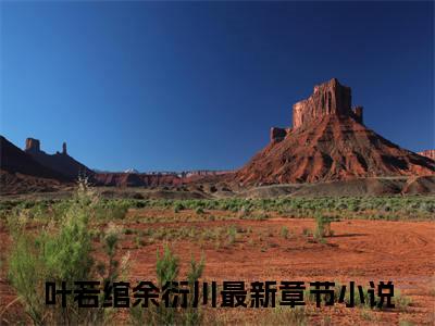 叶若绾余衍川(叶若绾余衍川)小说免费阅读无弹窗大结局_(叶若绾余衍川)叶若绾余衍川最新章节列表笔趣阁（叶若绾余衍川）