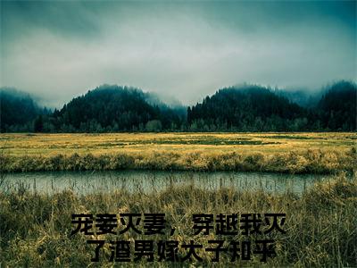 宠妾灭妻，穿越我灭了渣男嫁太子（花云鸾萧应寒）完整全文在线阅读_花云鸾萧应寒小说全章节目录阅读（宠妾灭妻，穿越我灭了渣男嫁太子）