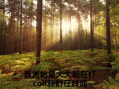 我为始皇大大疯狂打call林舒的书名全文免费最后一章在线阅读 我为始皇大大疯狂打call林舒全文小说完整版