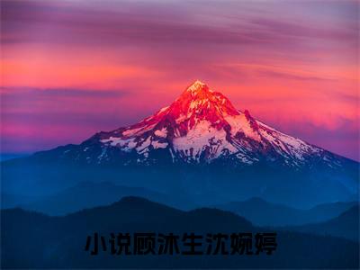 顾沐生沈婉婷小说全文免费阅读（顾沐生沈婉婷）全文免费阅读无弹窗大结局_(顾沐生沈婉婷)顾沐生沈婉婷小说免费阅读无弹窗最新章节列表_笔趣阁（顾沐生沈婉婷）