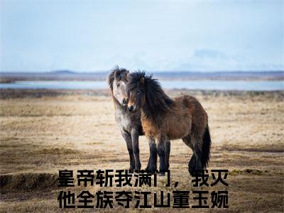 皇帝斩我满门，我灭他全族夺江山董玉婉小说全文（皇帝斩我满门，我灭他全族夺江山董玉婉）-皇帝斩我满门，我灭他全族夺江山董玉婉免费阅读目录