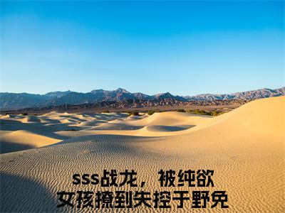 sss战龙，被纯欲女孩撩到失控于野精彩章节在线阅读，sss战龙，被纯欲女孩撩到失控于野小说全文最新章节列表