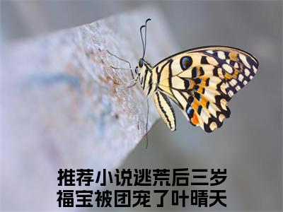 逃荒后三岁福宝被团宠了叶晴天(逃荒后三岁福宝被团宠了叶晴天)全文免费阅读无弹窗大结局_逃荒后三岁福宝被团宠了叶晴天免费试读阅读全文无弹窗_