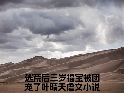逃荒后三岁福宝被团宠了叶晴天全文免费阅读无弹窗大结局_逃荒后三岁福宝被团宠了叶晴天(逃荒后三岁福宝被团宠了叶晴天)最新章节列表_笔趣阁