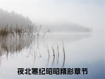 夜北寒纪昭昭（夜北寒纪昭昭）全文免费阅读无弹窗大结局_夜北寒纪昭昭全文免费阅读（夜北寒纪昭昭）最新章节列表_笔趣阁（夜北寒纪昭昭）