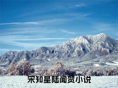 宋知星陆闻贺(宋知星陆闻贺)全文免费阅读_宋知星陆闻贺全文阅读_笔趣阁
