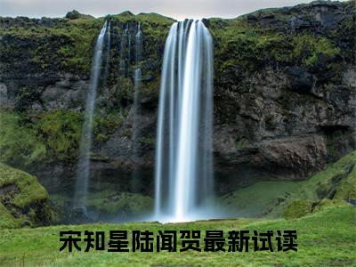 宋知星陆闻贺在线阅读（宋知星陆闻贺）全文免费阅读无弹窗大结局_宋知星陆闻贺精选免费小说