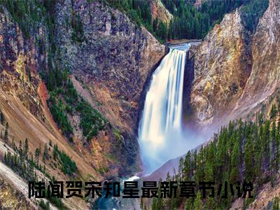 陆闻贺宋知星(陆闻贺宋知星)全文免费阅读无弹窗大结局_陆闻贺宋知星免费阅读最新章节列表_笔趣阁（陆闻贺宋知星）