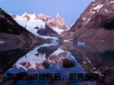 温仪萱商世枫全文免费阅读她死后，前男友疯了章节免费阅读