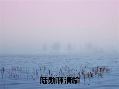 陆勋林清榆（陆勋林清榆）全文免费阅读无弹窗大结局_（陆勋林清榆）陆勋林清榆最新章节列表_笔趣阁（陆勋林清榆）