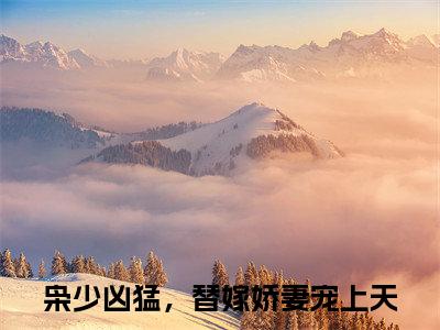 （蓝依依傅寒枭）全文免费阅读无弹窗（蓝依依傅寒枭）枭少凶猛，替嫁娇妻宠上天已完结全集大结局