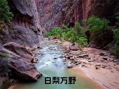 白梨方野全文免费阅读无弹窗大结局-白梨方野全文在线阅读
