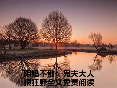 凌安（阴婚不散：鬼夫大人狠狂野）全文免费阅读_凌安最新章节列表言情小说在线阅读